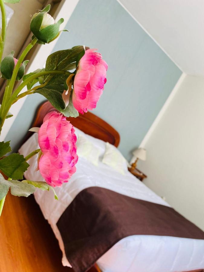 Helena De Santa Maria Hotell Arequipa Eksteriør bilde