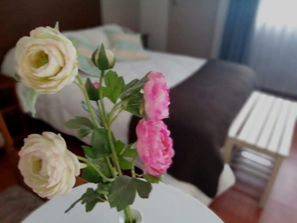 Helena De Santa Maria Hotell Arequipa Eksteriør bilde